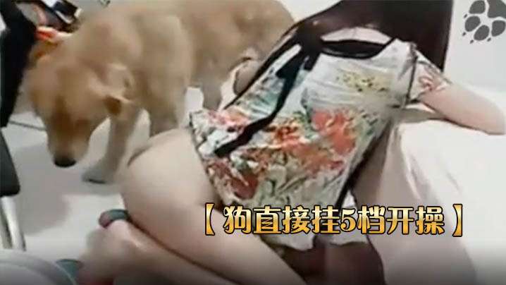 【狗直接挂5档开操】女主保持一个姿势让狗后入的! 海报