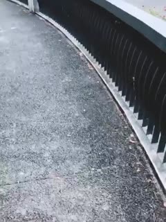 户外调教骚母狗! 海报