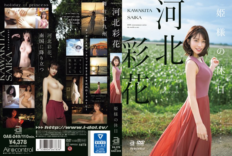OAE-249 姫様の休日 海报