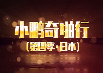 黑帮VS女优，史上最大尺度采访女优！这些问题只有鹏哥好意思问的! 海报