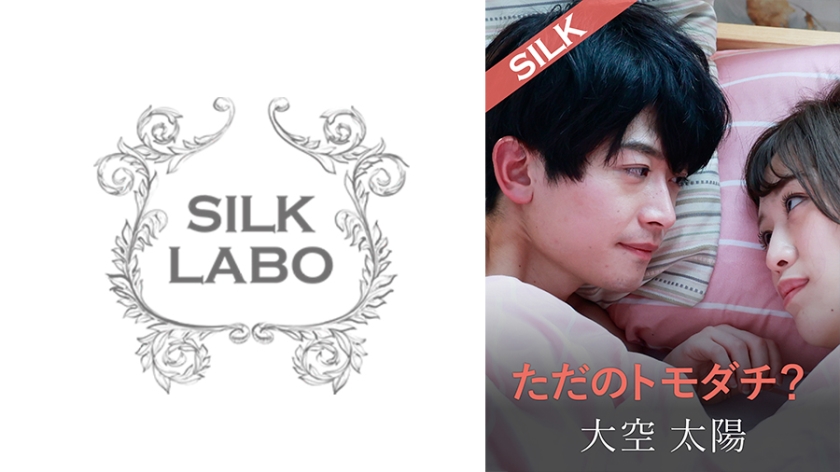 220SILKS-104-C ただのトモダチ？ 海报
