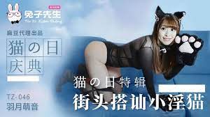 [TZ046] 兔子街頭直擊！搭訍慾女野戰實錄 浪叫濕身挑逗全記錄 海报
