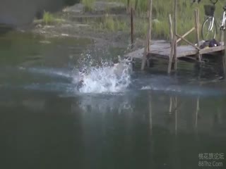 HTMS-116ヘンリー塚本青姦ヌケるド迫力映像第01集 海报