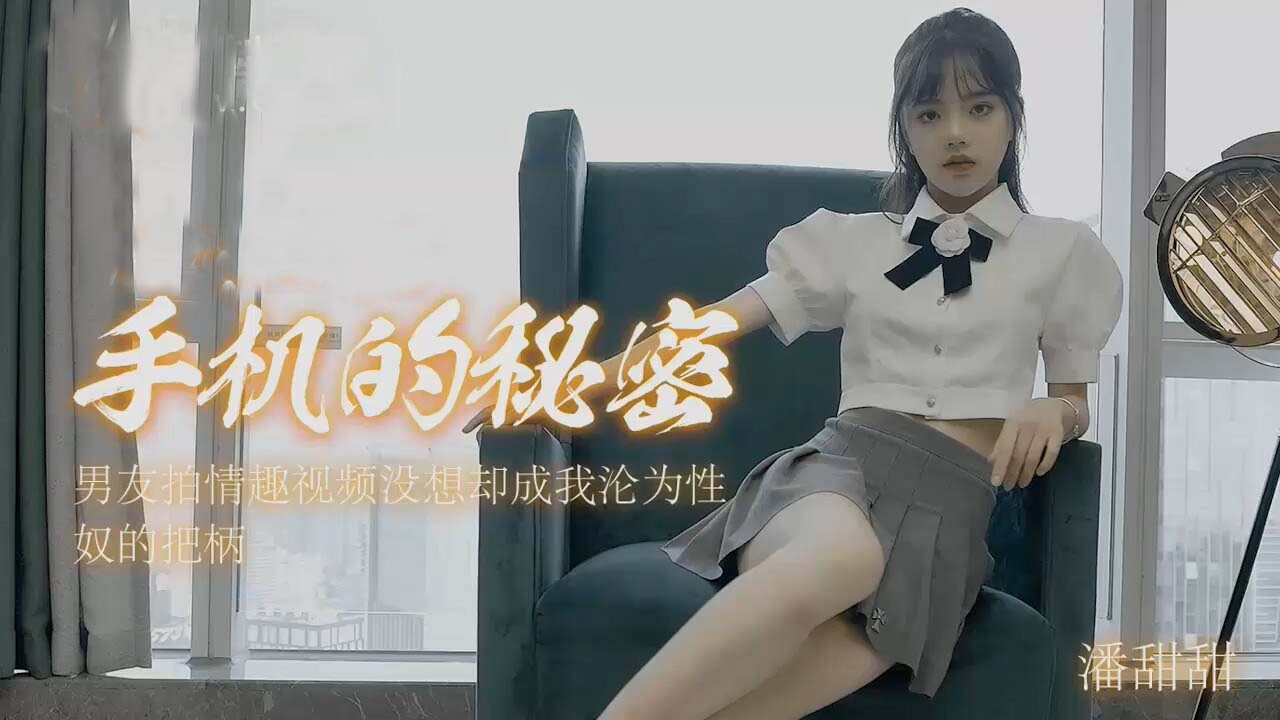 潘甜甜-手机里的秘密 海报