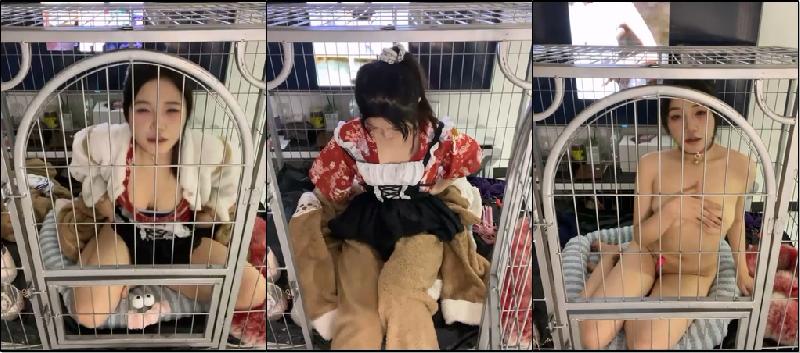 学生少女萝莉反差母狗自慰 (11) 海报