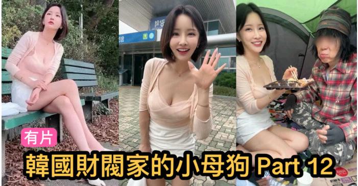 韓國財閥家的小母狗 海报