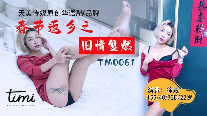 TM0061 春節返鄉之舊情復燃 海报