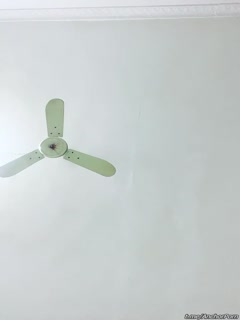 #哭了的小十九 1 海报