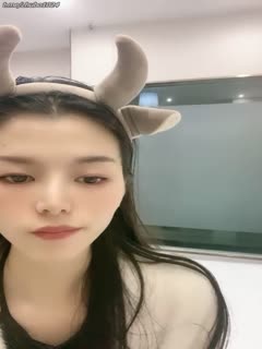 #一只洋洋 1 海报