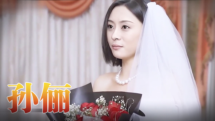 孙俪 《咱们结婚吧-版》（上） 海报