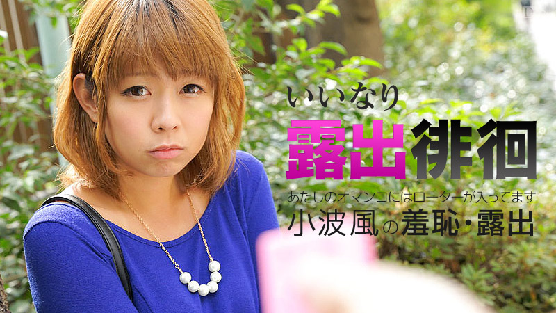 加勒比061116-183露出徘徊～我的女陰有轉子進入～小波風 海报