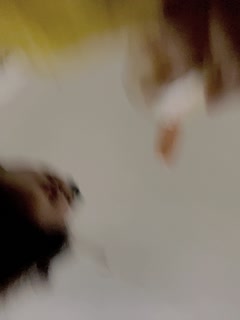游客19315444_20240107-181808-274_20240107-204855-257 海报