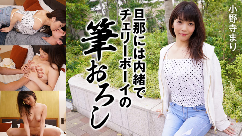 HEYZO 小野寺まり 海报