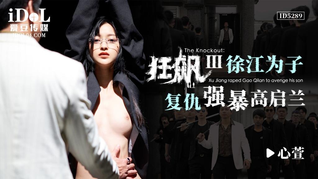 ID5289 狂飙之徐江为子复仇强暴高启兰-心萱 海报