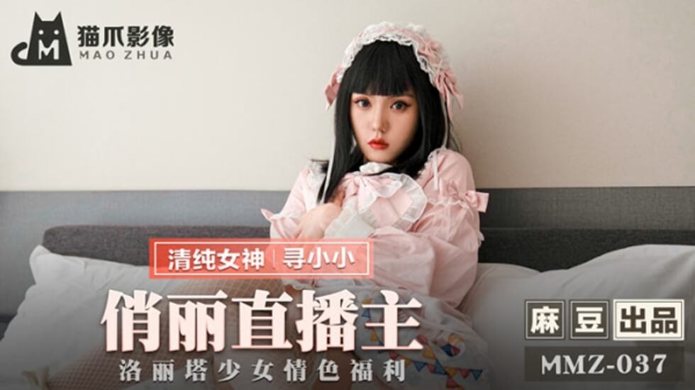 寻小小 海报