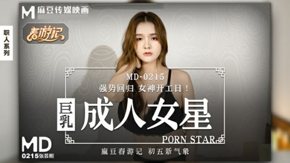 巨乳成人女星-张芸熙 海报