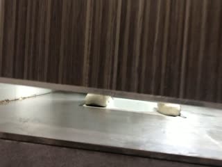 国内厕拍大神2019最新尾随妹子进女厕偷窥出来拍脸 海报