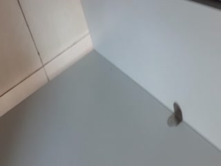 大神最新厕拍蹬点守候一位热裤大白腿学生妹 就是BB有点黑 这么清纯也操多了 海报