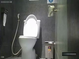酒吧员女厕固定前拍大概经常喝啤酒的缘故这的妹子都有小肚腩 海报