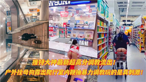 推特大神最新超高分调教流出户外栓母狗露出爬行室内鞭抽暴力调教 海报