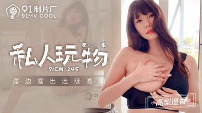 高梨遥香极品私密调教！私人玩物第二集 CM245 海报