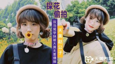 天美赵公子探花新作：双马尾清纯学妹遭巨根无套爆插，汁液飞溅娇喘不止！ 海报