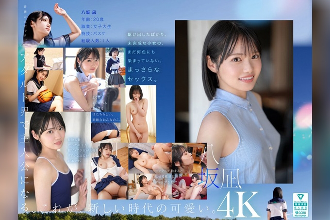 新・新人出道 最新的可爱担当 AV 八阪凪 海报