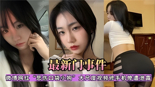 网传微博网红悲伤口袋小狗大尺度视频修手机惨遭泄露 海报