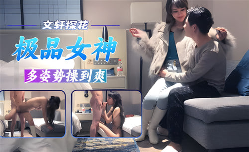 文轩探花极品女神多姿势操到爽 海报