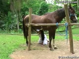 兽兽系列性福的小红马,不要错过，精彩片段 海报