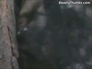 人类和动物-动物园马狂欢资源多多,等着你欣赏 海报