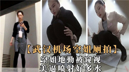 武汉机场空姐厕拍美逼喷射好多水 海报
