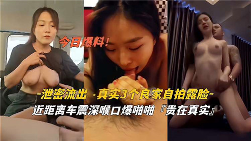 泄密流出真实3个良家自拍露脸近距离车震深喉口爆啪啪 海报