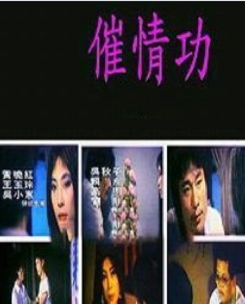 销魂催情功：让她欲火焚身的床上秘术 海报